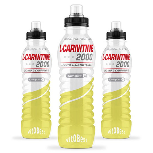 l carnitina efeitos no organismo Acetil L-Carnitina 500mg 90 Doses para Energia e Foco Mental l carnitina efeitos no organismo Acetil L-Carnitina 500mg 90 Doses para Energia e Foco Mental